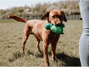 Hunter Hunde-Spielzeug Flingerz Splash Schildkröte, Blau/Grün