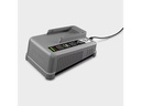 Kärcher Professional Schnellladegerät Battery Power+ 18/60
