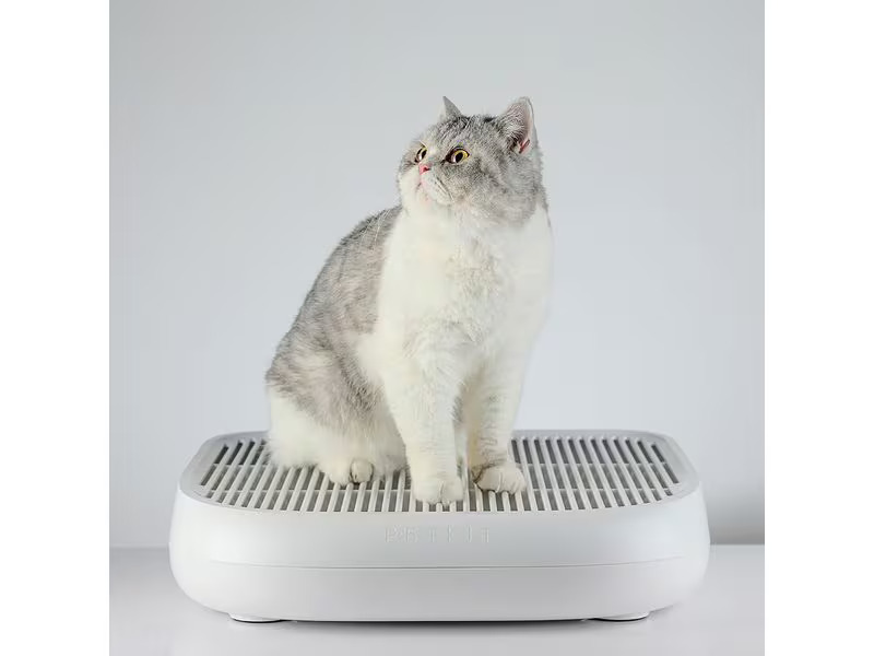 PETKIT Katzenstreu-Auffangbehälter