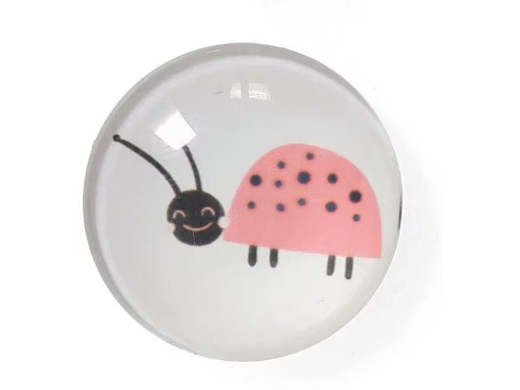 Zeller Present Magnete Insekten 4 Stück