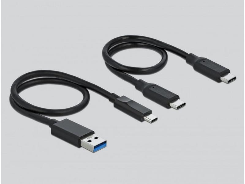 Delock Card Reader Extern 91754 USB-A/C für CF und SD