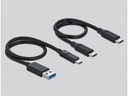 Delock Card Reader Extern 91754 USB-A/C für CF und SD