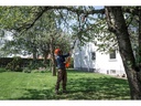 Husqvarna Akku-Hochentaster 120iTK4-PH