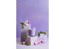 AVA &amp; MAY Duftkerze Orchid 325 g