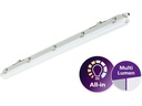 Philips Professional Feuchtraumleuchte WT065C LED29_48S/840 PSU L1200