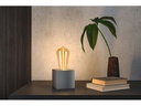 Paulmann Floating Shine LED Kolben E27 2.8W 1800K Gold