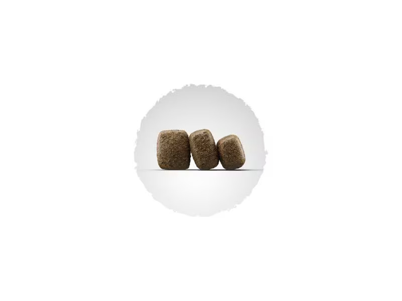 Josera Trockenfutter Special SensiAdult, 12.5 kg