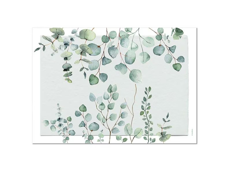 Trendform Tischset Eucalyptus 29.7 cm x 42 cm