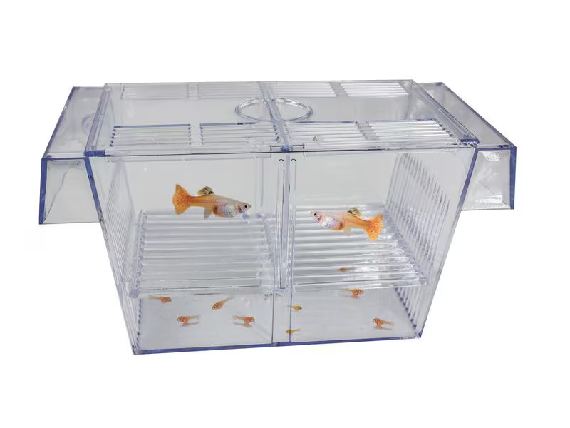 SuperFish Schwimmendes Aufzuchtbecken