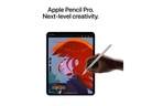 Apple iPad Pro 13 M4 WiFi 2024 2000 GB Space Schwarz