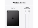 Apple iPad Pro 11 M4 WiFi 2024 2000 GB Space Schwarz