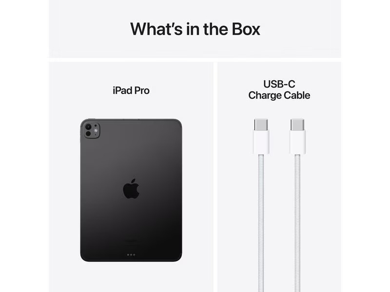 Apple iPad Pro 11 M4 Cellular 2024 1000 GB Space Schwarz