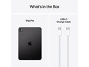 Apple iPad Pro 11 M4 Cellular 2024 1000 GB Space Schwarz
