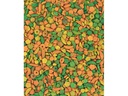 Versele Laga Ziervogelfutter NutriBird P15 Tropical für Papageien, 1 kg