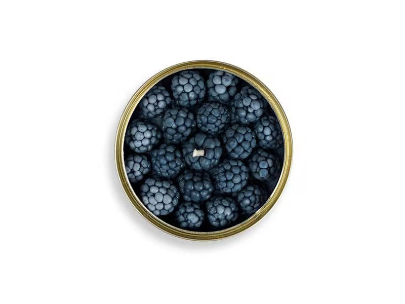 Mandatus Duftkerze Cinnamon Blackberry Candle Can