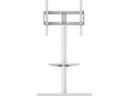 PureMounts Standfuss PM-TVS-21 Weiss