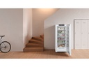 Liebherr Gefrierschrank FNd 7026 Plus Rechts/Wechselbar