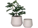 House Nordic Blumentopf Trofa 2 Stück, Sand