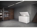 Liebherr Gefriertruhe CFd 2085 Plus Oben (Toplader)