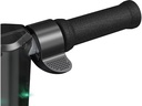 Razor E-Scooter Power Core E90 Lightshow Schwarz