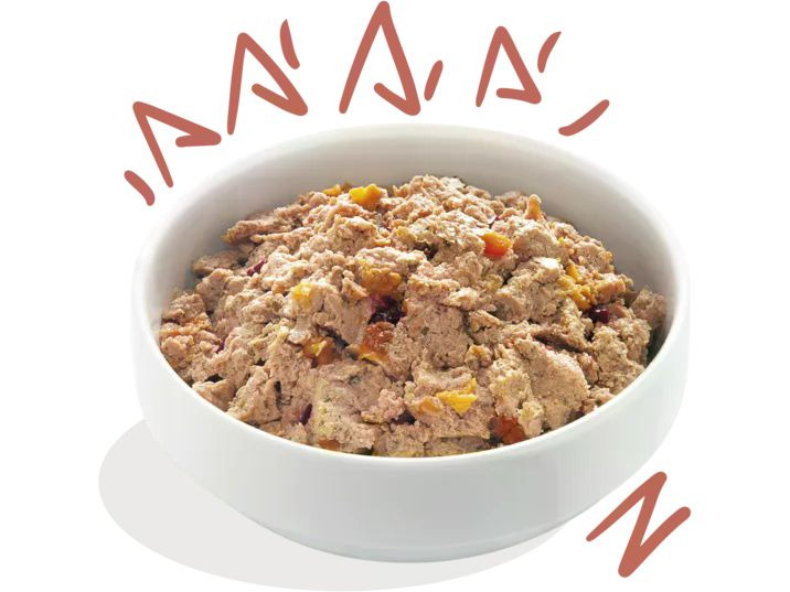Edgard &amp; Cooper Nassfutter Senior Huhn + Lachs, 11 x 150 g