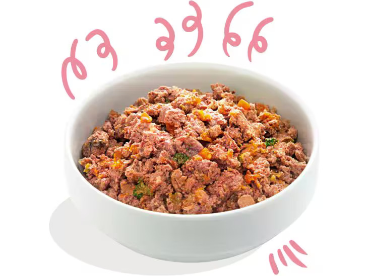 Edgard &amp; Cooper Nassfutter Junior Ente + Huhn, 6 x 400 g