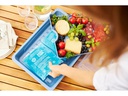 Rotho Tortenbutler Cool &amp; Fresh Blau/Transparent