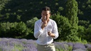 Plantes &amp; Parfums Duftkerze Ein Garten im Regen 180 g