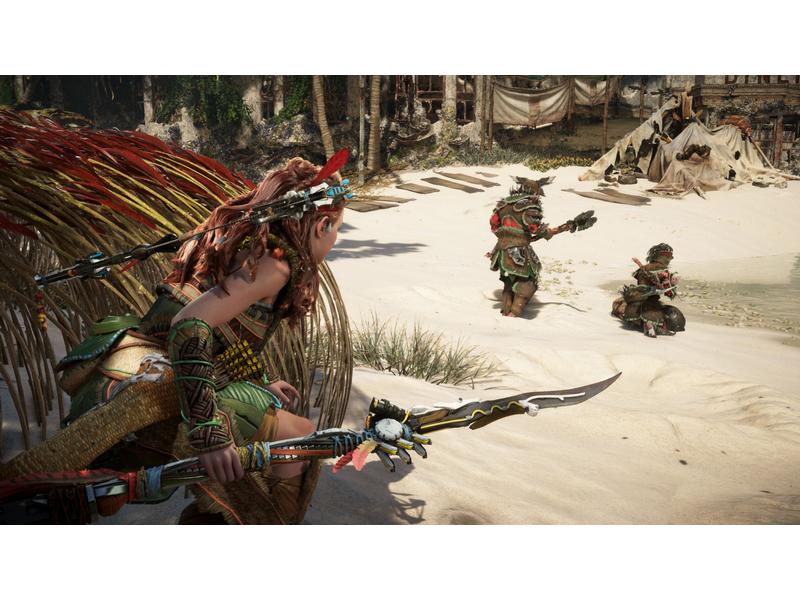 Sony Horizon Forbidden West