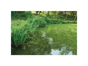 OASE AquaActiv AlGo Greenaway 500 ml