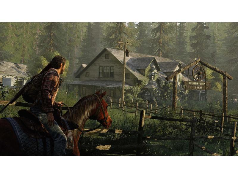 Sony The Last of Us Remastered (PlayStation Hits)