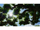 Sigma Zoomobjektiv 28-45mm F/1.8 DG DN Art Sony E-Mount