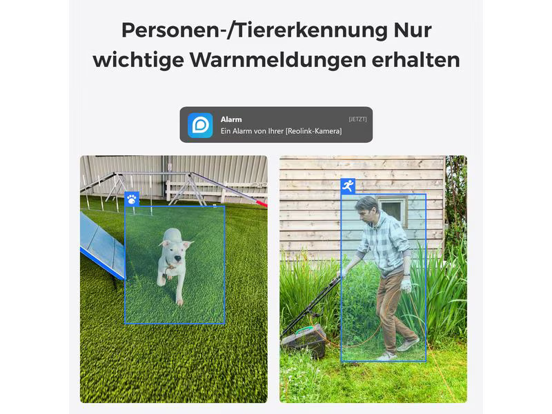 Reolink Netzwerkkamera E330 Schwarz