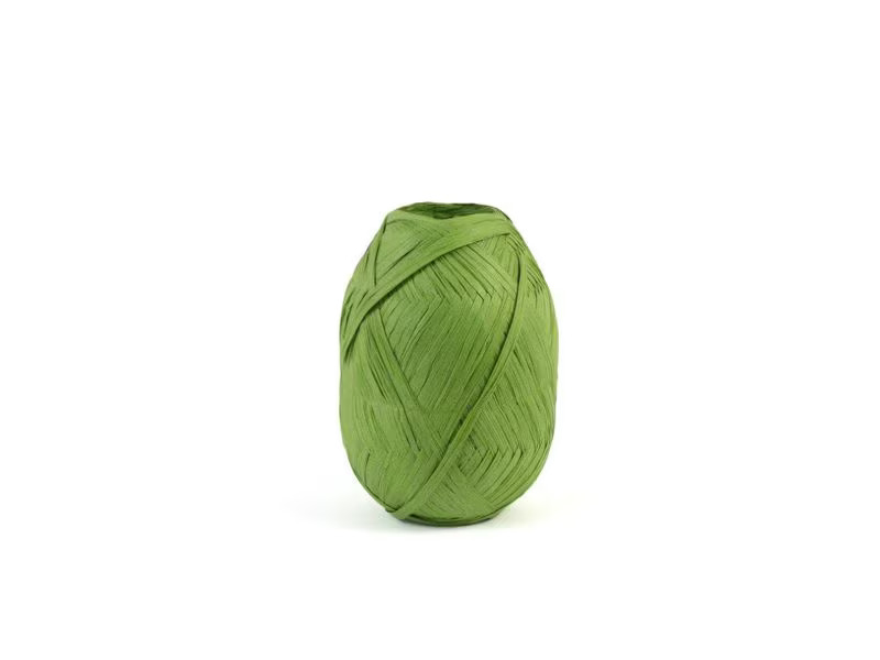 DMC Stoffgarn Eco Vita Raffia 50 g, Grün