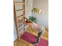 BenchK Sprossenwand System 100