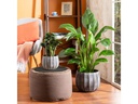 scheurich Blumentopf Runa 2.1 l, Grau