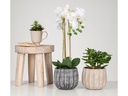 scheurich Blumentopf Runa 2.1 l, Grau