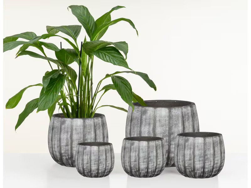 scheurich Blumentopf Runa 2.1 l, Grau