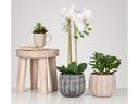 scheurich Blumentopf Runa 2.1 l, Grau