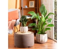 scheurich Blumentopf Runa 2.1 l, Crème