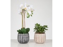 scheurich Blumentopf Runa 2.1 l, Crème