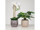 scheurich Blumentopf Dune 6.1 l, Crème