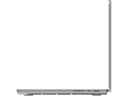 dbramante1928 Notebook-Skin Iceland 14 , Transparent