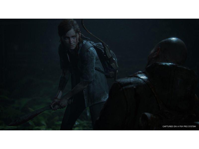GAME The Last of Us Part II