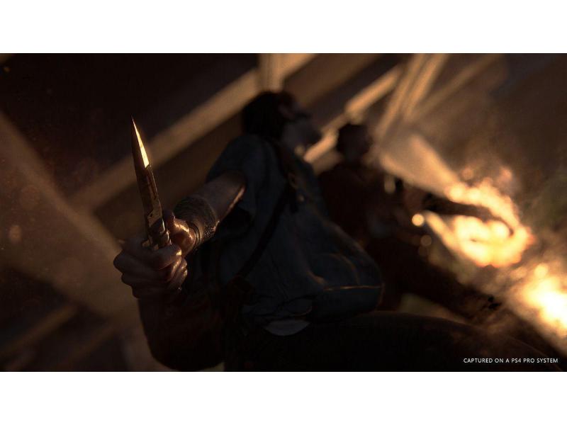 GAME The Last of Us Part II