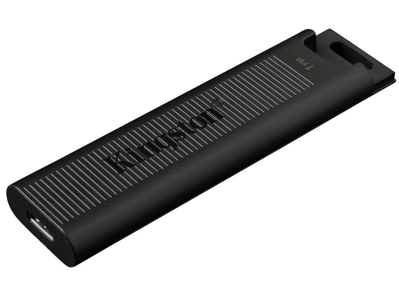 Kingston USB-Stick DataTraveler Max 1000 GB