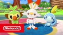 Nintendo Pokemon Schild