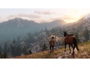 GAME Red Dead Redemption 2