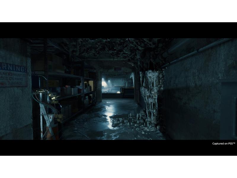 Sony Death Stranding Director`s Cut