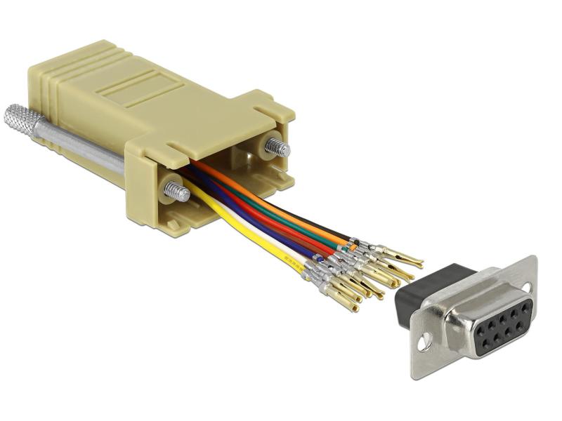 Delock Adapter RJ-45 - RS-232 DB9 (f-f) grau